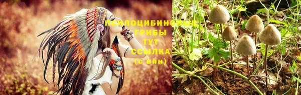 Альфа ПВП Приозерск