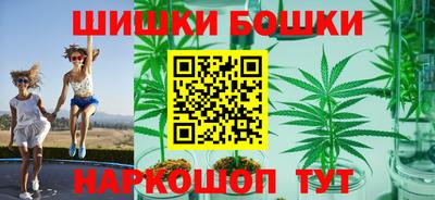 шишки Шахты