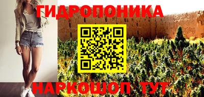 PSILOCYBIN Шебекино