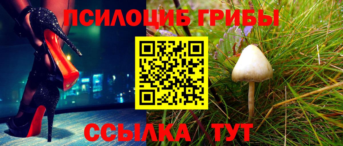 Баксан  Псилоцибиновые грибы Magic Shrooms  Вход с VPN  Галлюциногенные грибы Psilocybe 