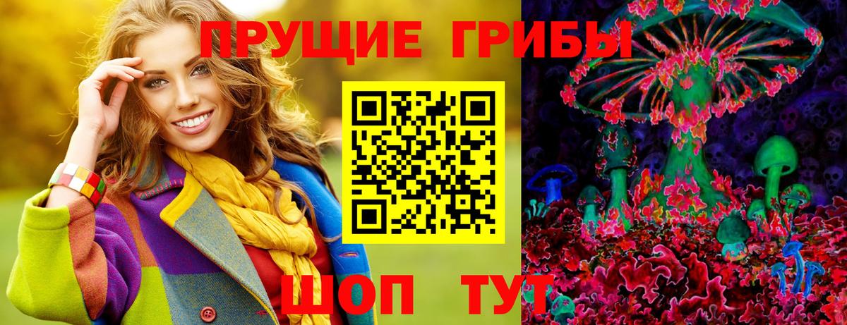 Галлюциногенные грибы Psilocybe  Галлюциногенные грибы Psilocybe  Баксан 