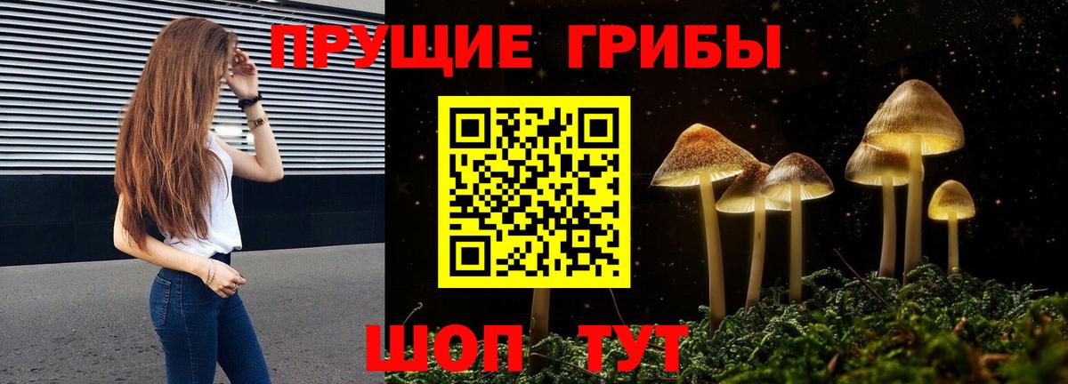 Галлюциногенные грибы Psilocybe Баксан