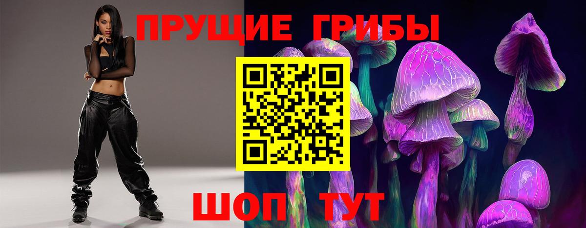 Псилоцибиновые грибы Psilocybine cubensis Баксан